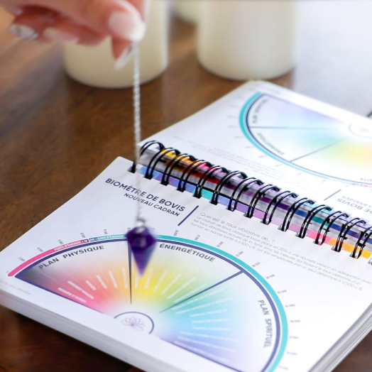 Reiki Shamballa & cristaux – Soin énergétique de réalignement – D.S Thérapies Soin énergétique Reiki Shamballa combiné aux pierres de lithothérapie pour libérer les blocages et réaligner les centres énergétiques